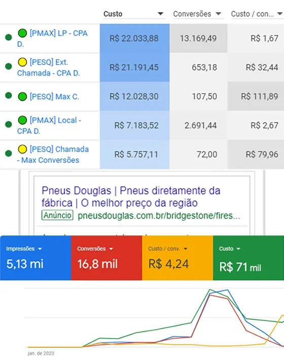 Pneus Douglas: Pesquisa e Performance Max